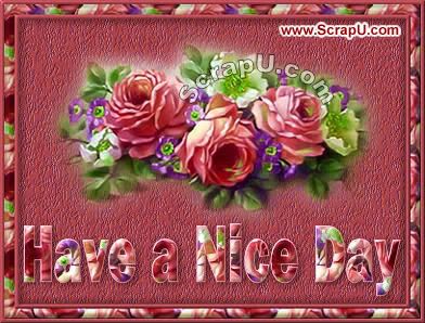 Nice Day Cards 