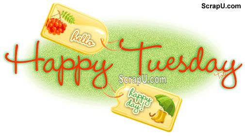 Happy Tuesday Comments 