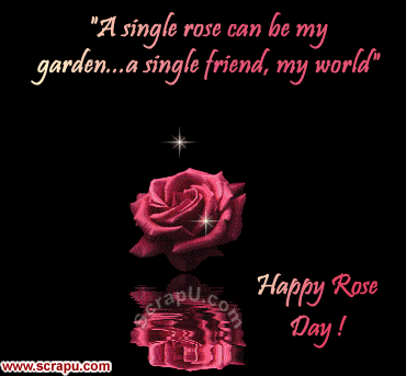 Happy Rose Day Pictures 