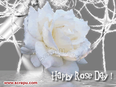 Happy Rose Day Cards 
