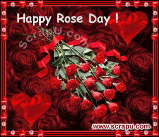 Happy Rose Day Pictures 
