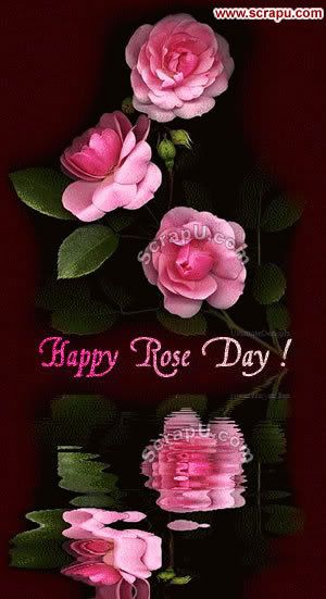 Happy Rose Day Graphics 
