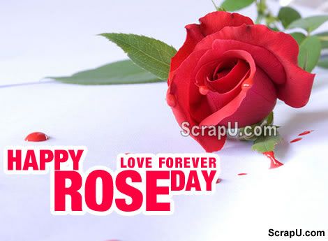Happy Rose Day Cards 