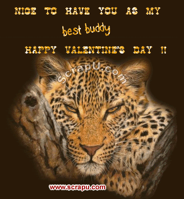 Valentine Day For Friends Cards 