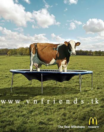 Funny Advertising Prints