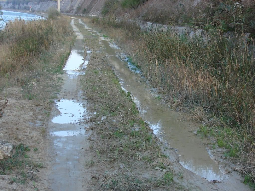 Imagine postată