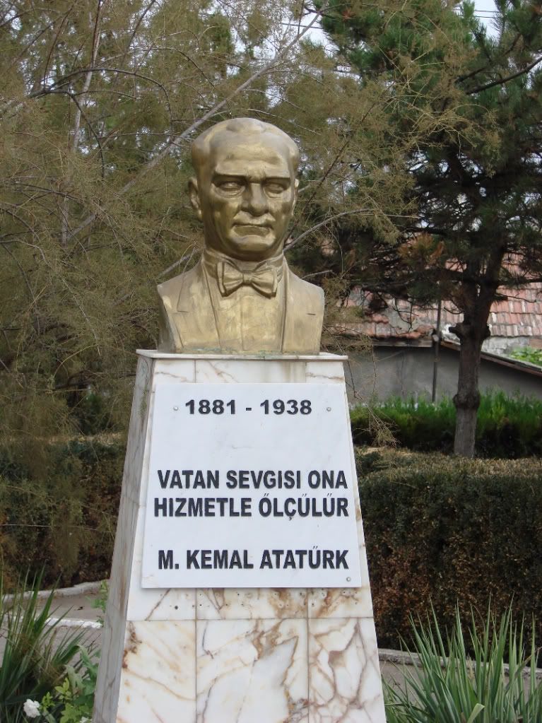 Imagine postată