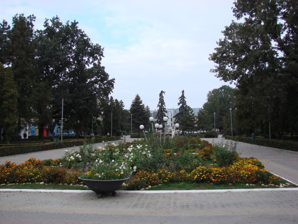 Imagine postată