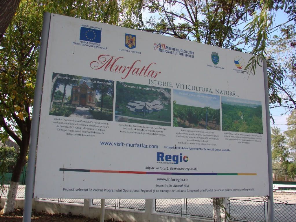 Imagine postată