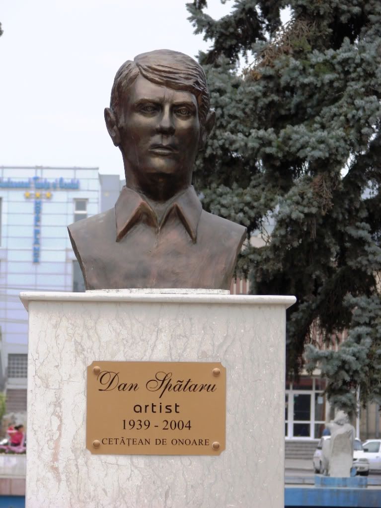 Imagine postată