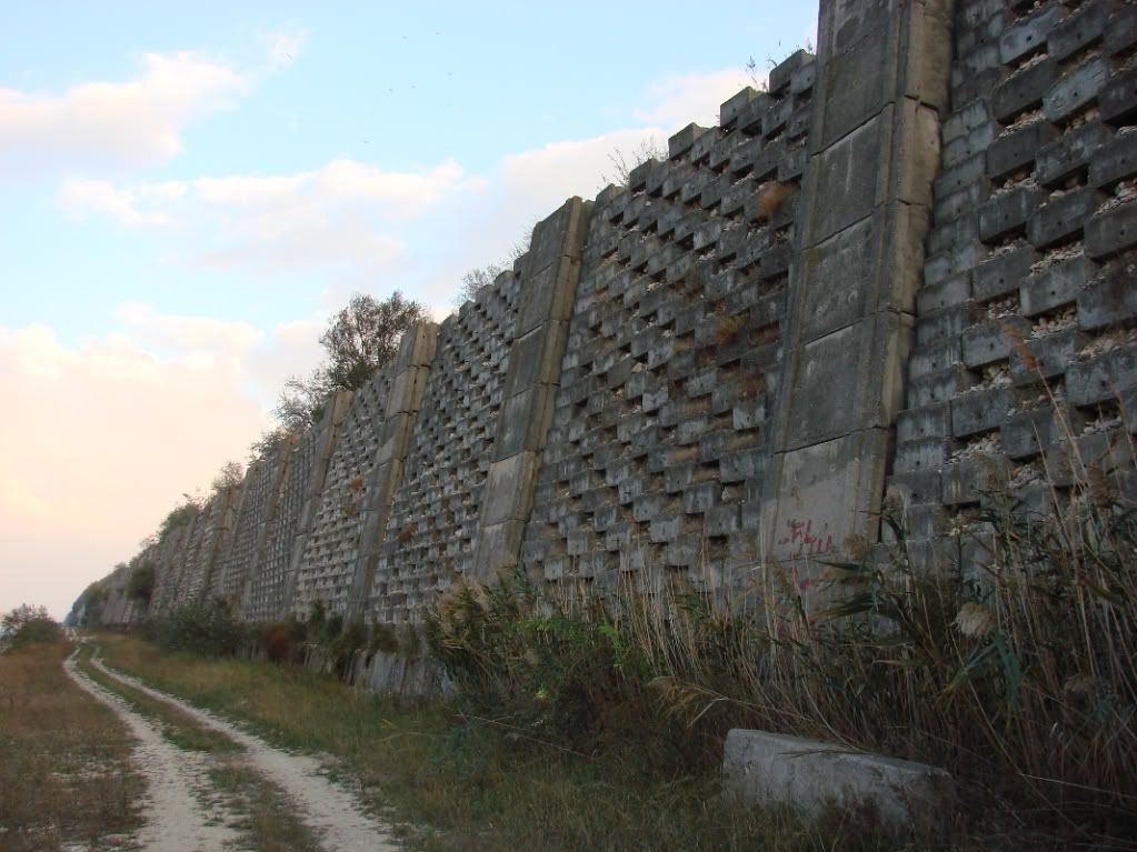 Imagine postată