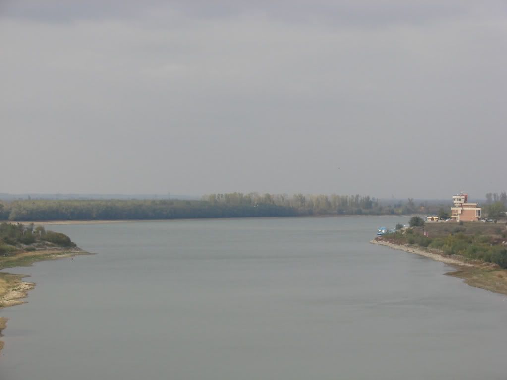 Imagine postată