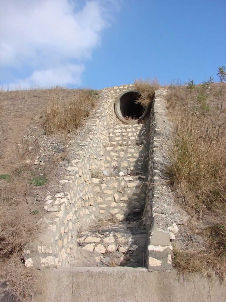 Imagine postată
