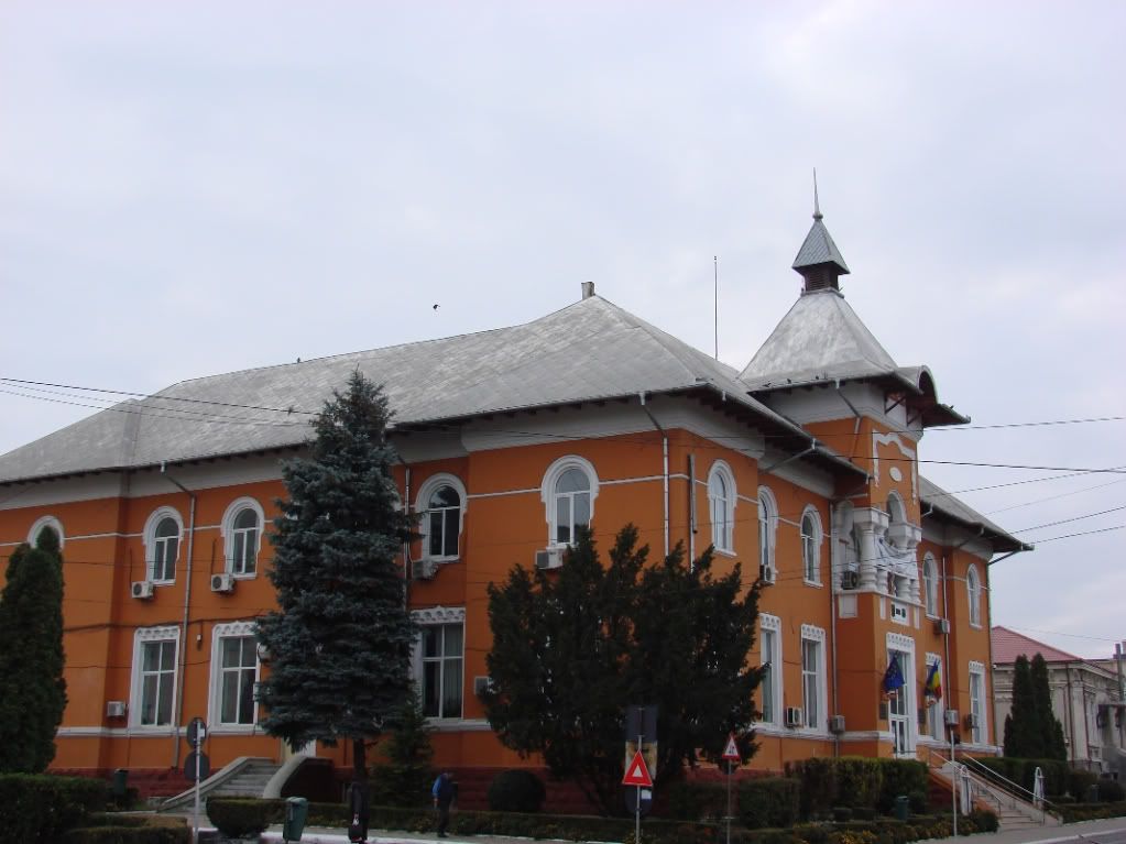 Imagine postată
