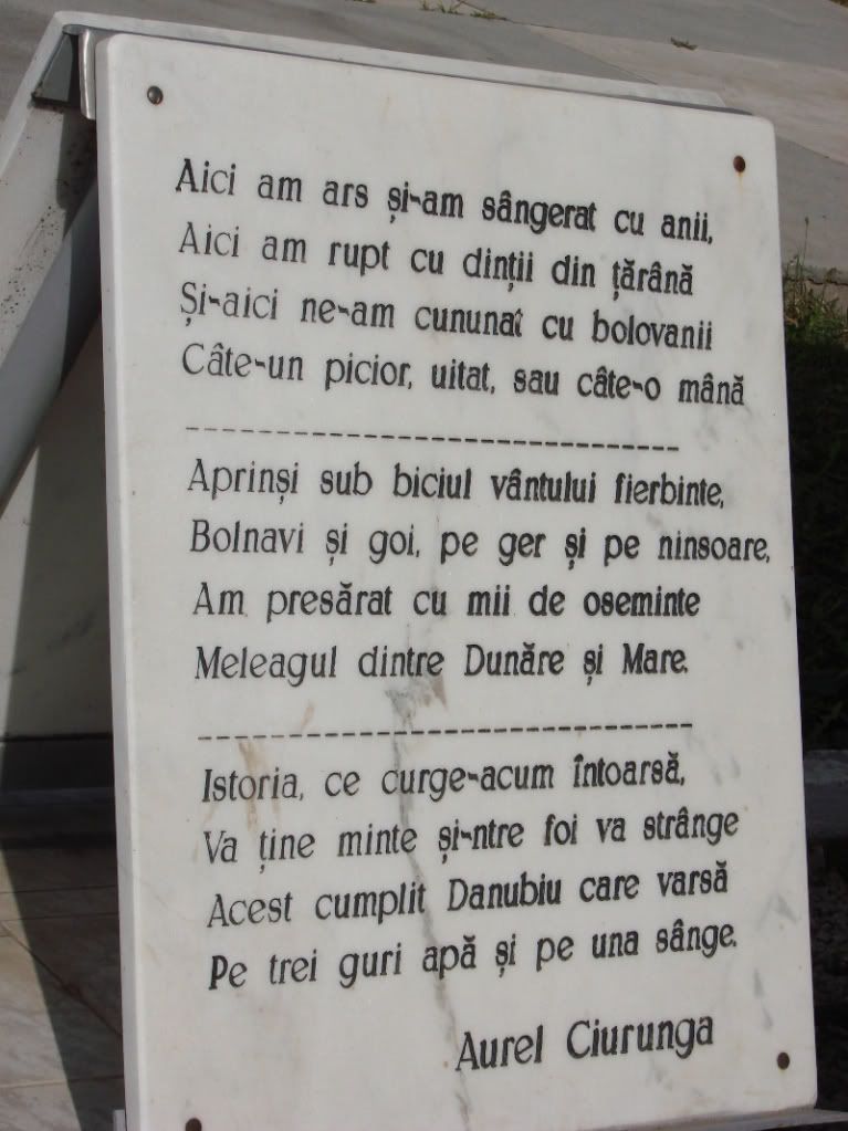 Imagine postată