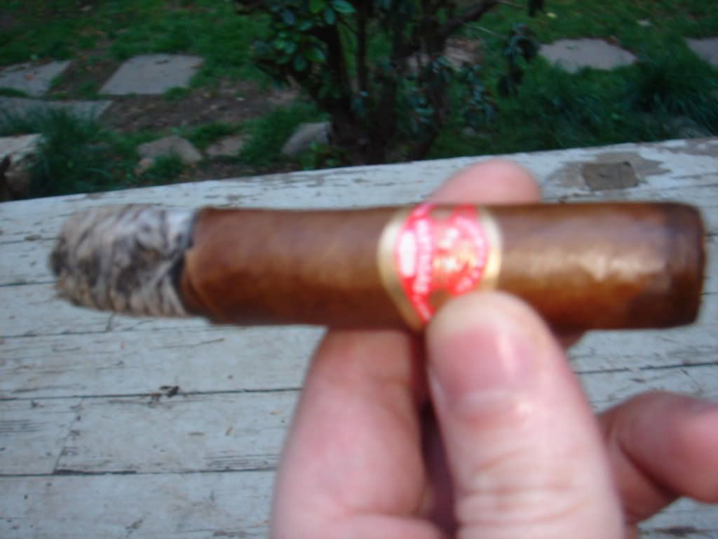 DSC00597.jpg