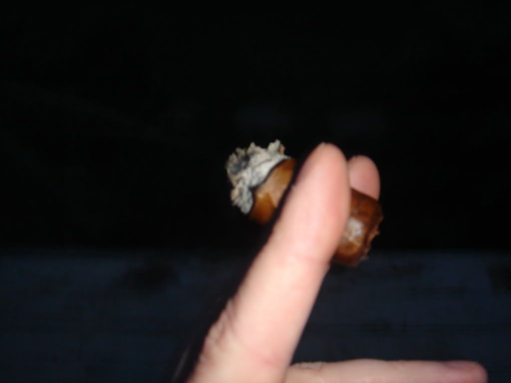 DSC00601.jpg