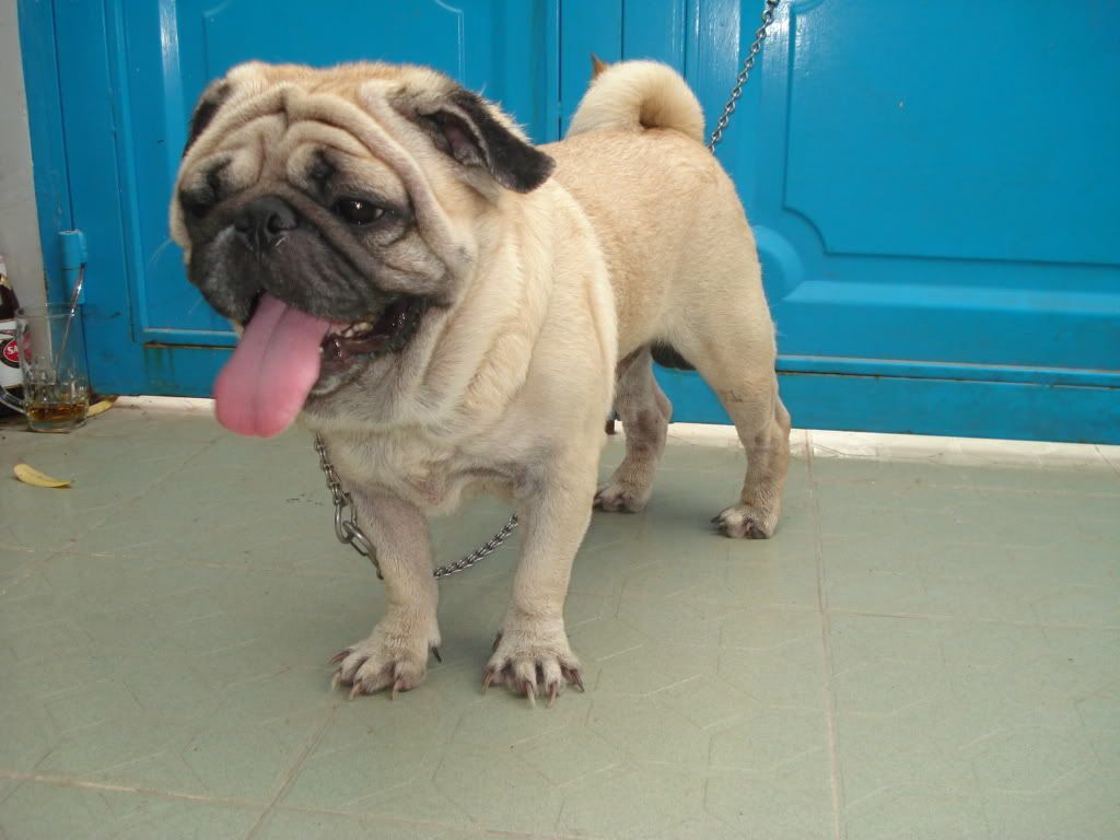 cần AE tư vấn vấn đề tình cảm giúp mình.!!!gấp lắm rùi..!!