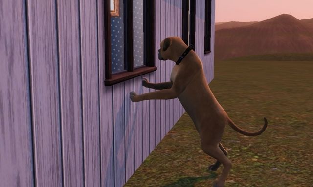 Screenshot-27-1.jpg