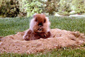 It All Comes Back To Caddyshack…