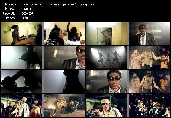 Vybz_Kartel-Go_Go_Wine-DVDRIP-x264-2011-FRAY