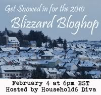 Blizzard Bloghop 2010 hosted by Household 6 Diva