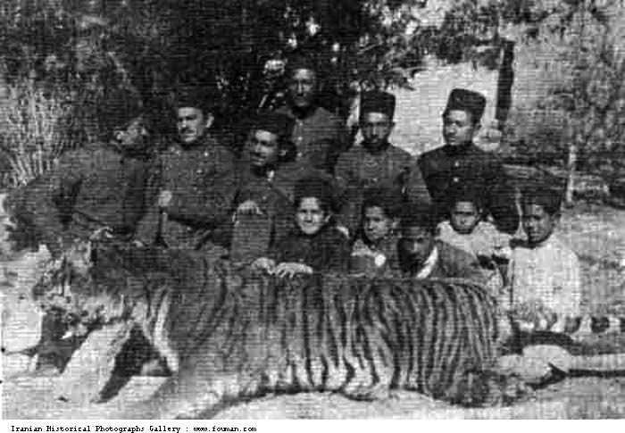 Tiger of Mazandaran movie