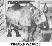 Vereador Cacareco