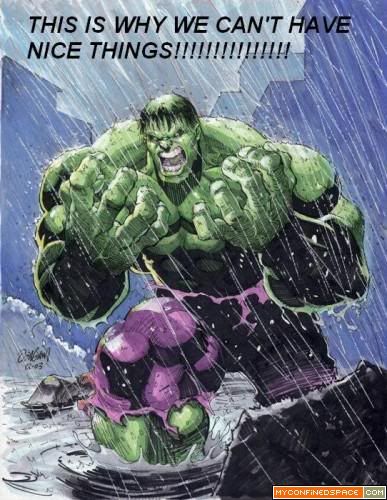 incredible-hulk-this-is-why-we-cant-have-nice-things-387x500.jpg