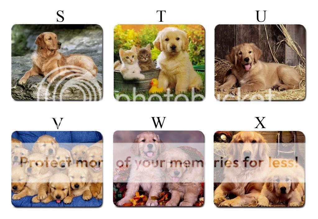   Retriever Dog Puppy Puppies S X Large Mouse Pad Mat #PICK 1  