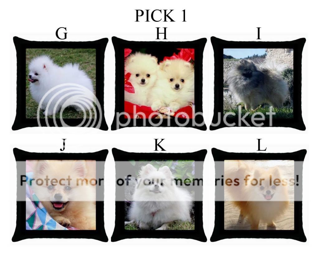 Pomeranian Dog Puppy Puppies G L Throw Pillow Case #PICK 1  