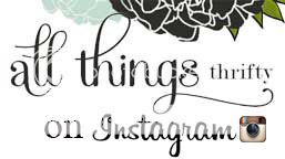 All Things Thrifty on Instagram