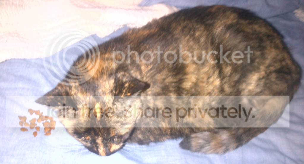 lastpic_zps676c81bf.png